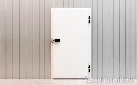 Холодильные двери